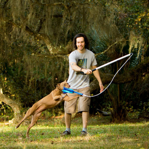 flirt pole for dogs diy