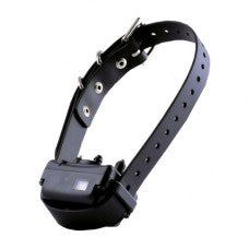 Ecollar Bungee Strap buckle 3/4 wide