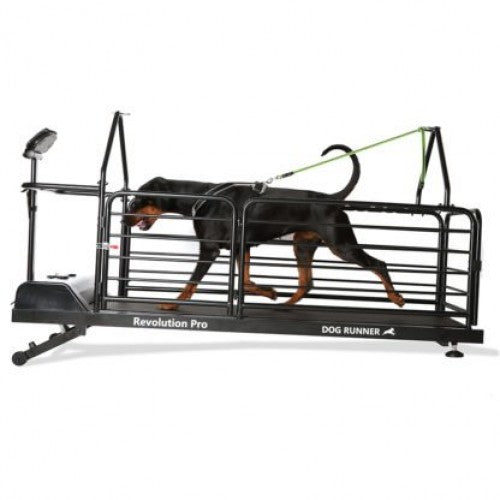 Dog Runner – Revolution Pro