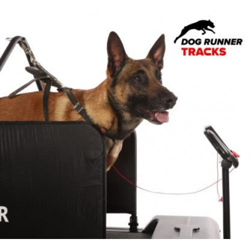 Dog Runner Tracks