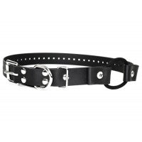 Ecollar Bungee Strap buckle 3/4 wide