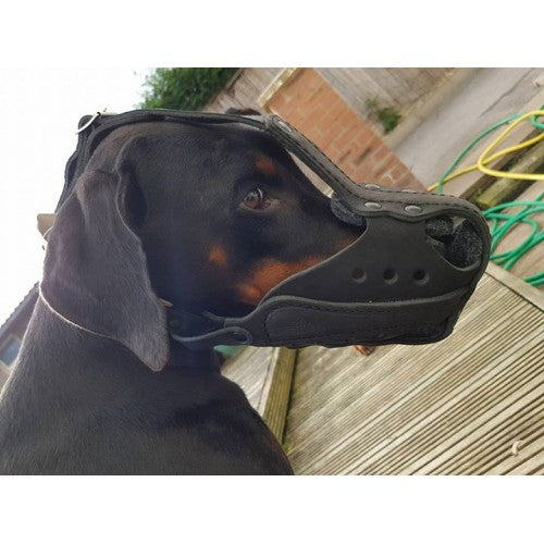 Leather Muzzles with buckle