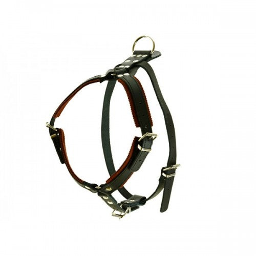 Raddog Harness Leather Harnesses