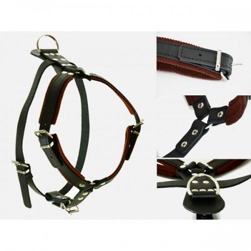 Raddog Harness Leather Harnesses